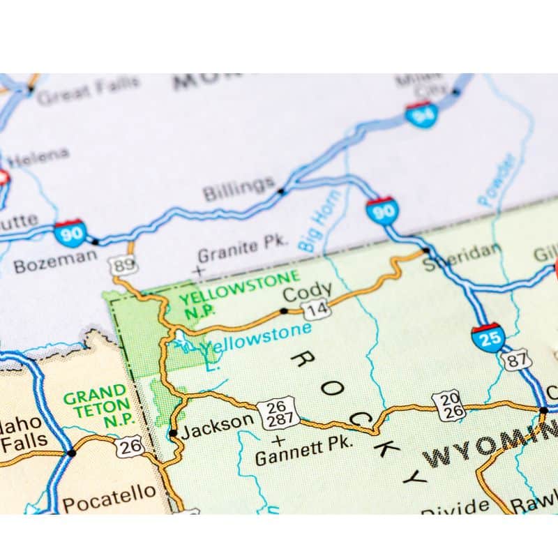 Tall pine trees with clouds and mountains