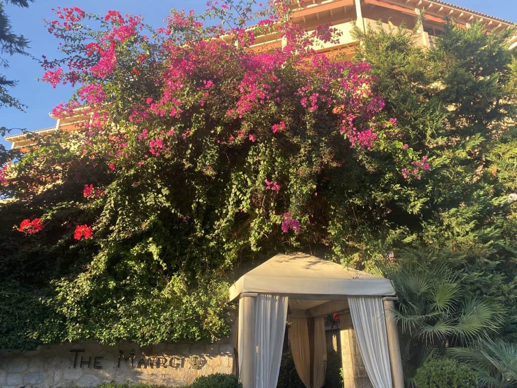 Pink and green flowers hanging off brick wall with pool cabana