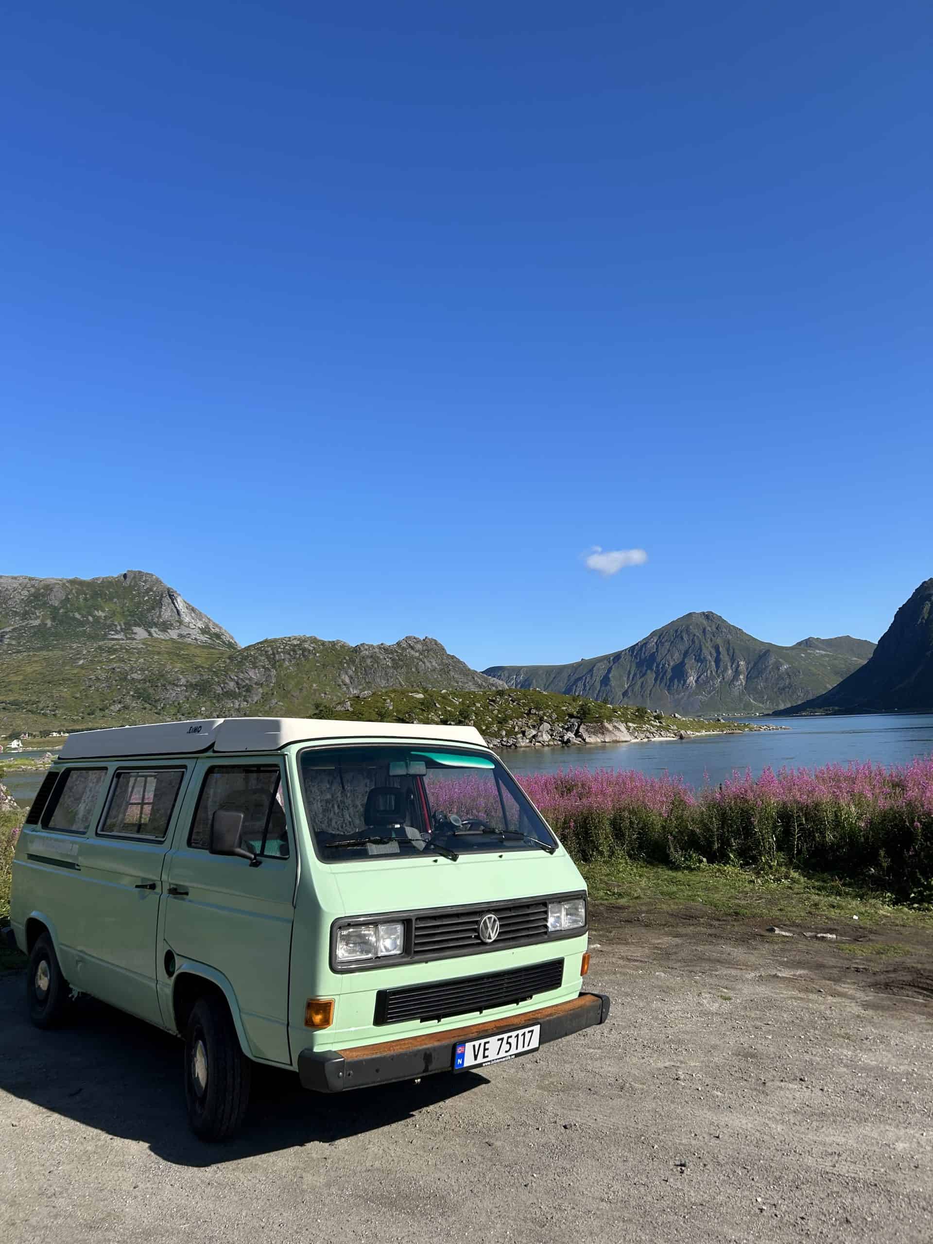 Mint green Volkswagen van with mountains and flowers in background. 