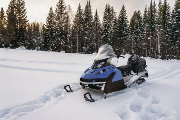 Snowmobile in the snow with pine trees. 