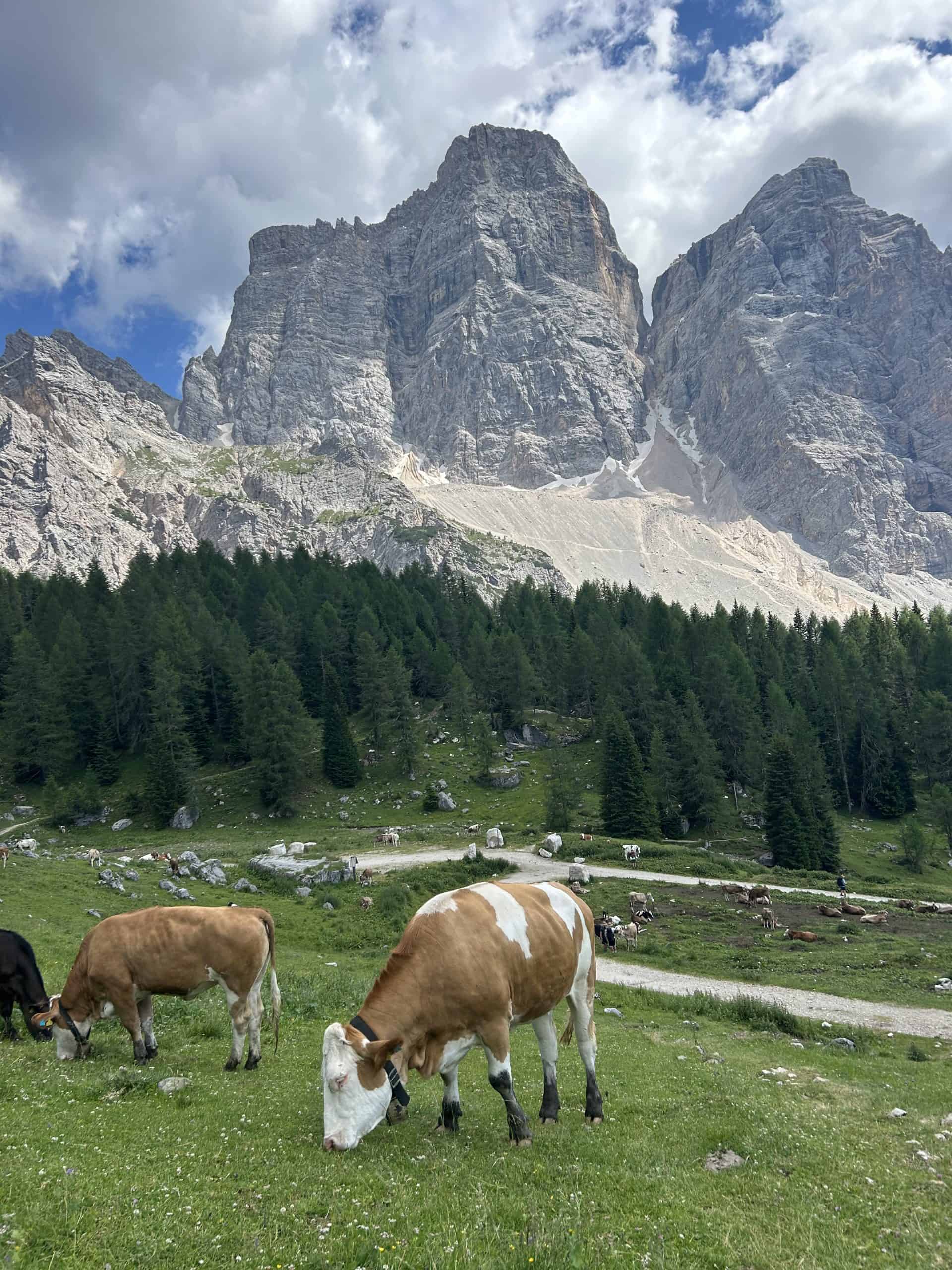Rifugio Citta di Fiume